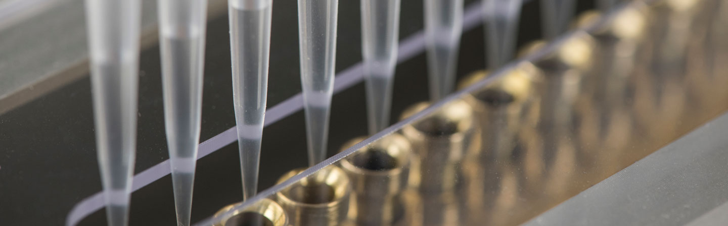 Speedcal: Calibration of multi-channel piston pipettes